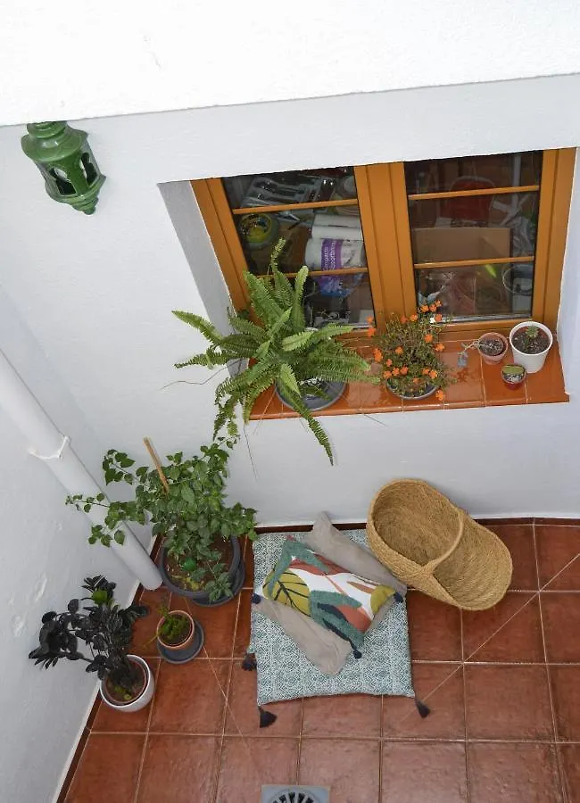 Сasa de vacaciones Casa Tipica Y Terraza, Maison Andalouse, Typical House With Rooftop Almuñécar España