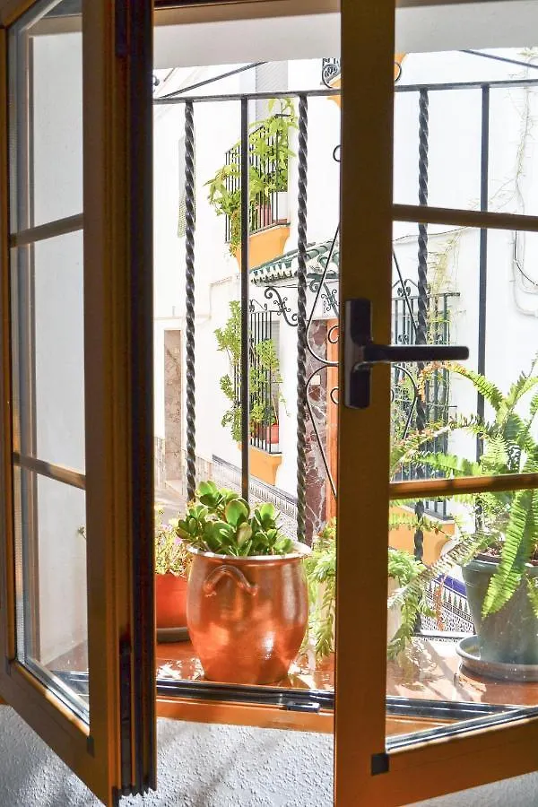 Casa Tipica Y Terraza, Maison Andalouse, Typical House With Rooftop Almunecar Spain